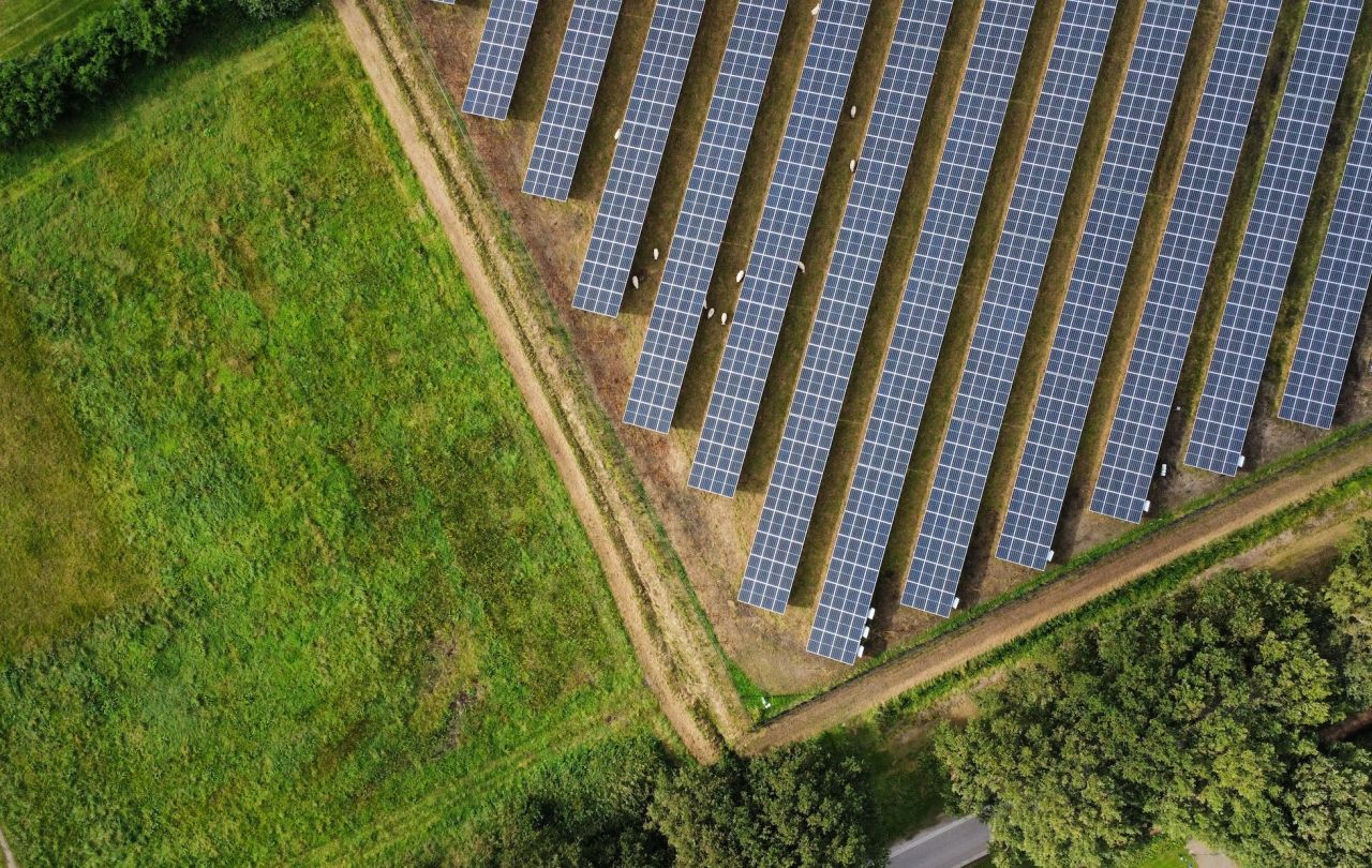 Bovenaanzicht zonnepark Stadskanaal met grazende schapen